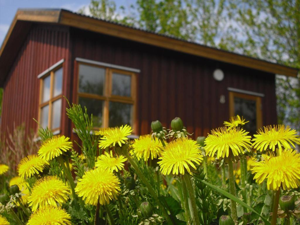Guesthouse Petursborg Akureyri Pokoj fotografie